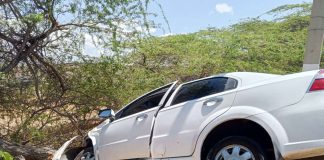 Conductor chocó con un cují en Puerta Maraven