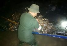 Incautan 600 panelas de marihuana en Costas del Cabo San Román