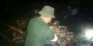 Incautadas 1663 panelas de droga y un hombre neutralizado