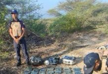 Nuevo hallazgo de 75 panelas de marihuana en El Pico