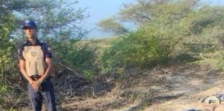 Nuevo hallazgo de 75 panelas de marihuana en El Pico