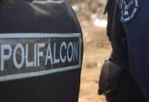 Polifalcón tras la búsqueda de «El Cucu» en Maquigua