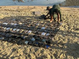 Se contabilizan 1223 panelas de droga incautadas en el Cabo San Román