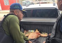 Cayó «el Yovarnito» en intervención legal con Policarirubana