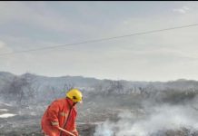 Caída de guaya generó incendio de maleza en Cararapa