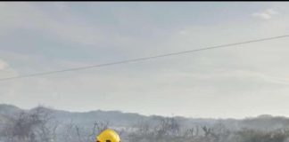 Caída de guaya generó incendio de maleza en Cararapa