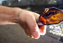 Lo cortaron con una botella en Dabajuro