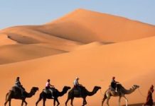 Desierto de Sahara se inunda después de 50 años