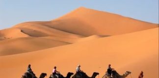 Desierto de Sahara se inunda después de 50 años