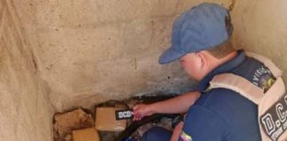 Localizan tres panelas de marihuana en Tocopero