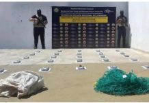 Localizan 25 panelas de marihuana en La Bocaina