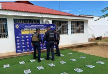 Localizan 50 panelas de droga en Ánimas de Cuicas