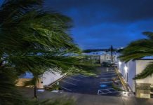 Milton baja a categoría dos