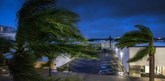 Milton baja a categoría dos