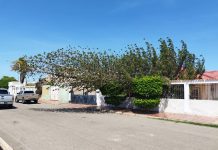 Pino que cayó sobre residencia en Maravén solo dejó daños estructurales