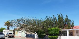 Pino que cayó sobre residencia en Maravén solo dejó daños estructurales