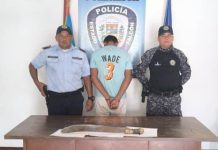 Polifalcón aprehendió a hombre que asesinó a un perro en el municipio Zamora