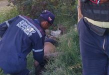 Sexagenario murió por descarga eléctrica en Puerta Maraven