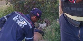 Sexagenario murió por descarga eléctrica en Puerta Maraven