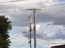 Un mes sin energía eléctrica llevan 23 familias del sector Centro de Punto Fijo