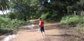 Gobierno de Falcón en alerta ante afectaciones viales de varios municipios