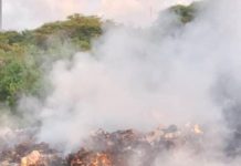Denuncian contaminación en Montelibano de Buena Vista