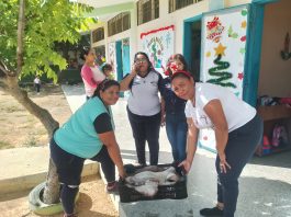 Minpesca lleva la proteína a escuelas de Carirubana