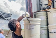 Nueva exportación a China| 137 toneladas de Medusa Bola de Cañón