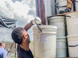 Nueva exportación a China| 137 toneladas de Medusa Bola de Cañón