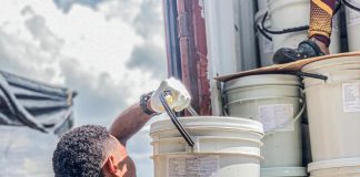 Nueva exportación a China| 137 toneladas de Medusa Bola de Cañón