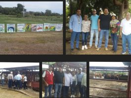 Insai y Funvessa buscan la erradicación de la fiebre aftosa