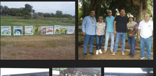 Insai y Funvessa buscan la erradicación de la fiebre aftosa