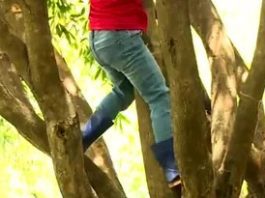 Niño sufrió lesiones al caer de un árbol en Zazárida