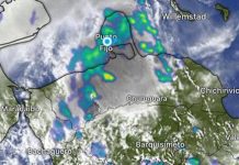 Protección Civil reporta afectaciones por lluvias en Federación y Zamora