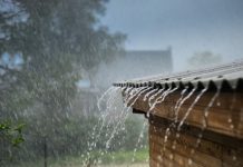 Esto se dice de la lluvia hoy #14NOV