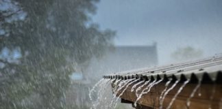 Esto se dice de la lluvia hoy #14NOV