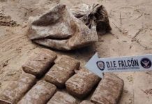 Localizan ocho panelas de marihuana en Tocopero