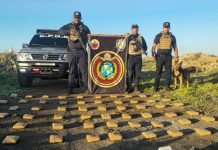 Localizan 60 panelas de droga en Tiguadare