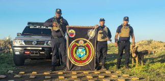 Localizan 60 panelas de droga en Tiguadare