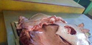 Minpesca extendió su mano amiga al hospital Doctor Juvenal Bracho