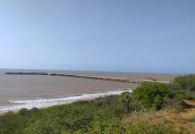 Dos empresas internacionales están interesadas en la adecuación del puerto de Muaco