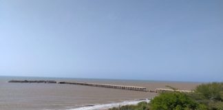 Dos empresas internacionales están interesadas en la adecuación del puerto de Muaco