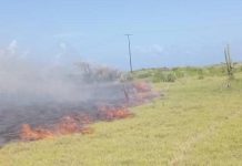 Reportan incendio en San Francisco de Adícora