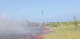 Reportan incendio en San Francisco de Adícora