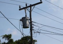 Sufrió descarga eléctrica y cayó sobre la platabanda de una vivienda