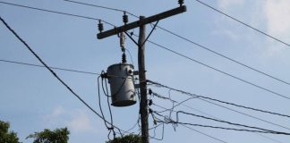 Sufrió descarga eléctrica y cayó sobre la platabanda de una vivienda