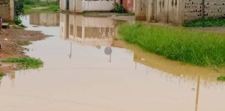 Fotos|De esta manera viven en Tierra Santa en Punto Fijo