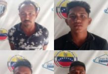 Cuatro detenidos por robo de ganado