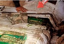 Por tráfico de droga Polifalcón y GNB aprehendieron a dos ciudadanos en la Sierra