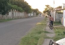 Búhos atacan a transeúntes en Adícora